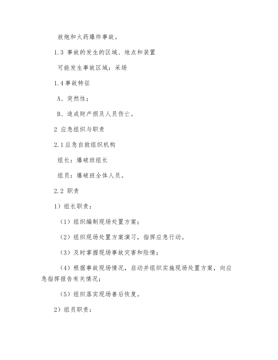 放炮和火药爆炸事故现场处置方案_第2页