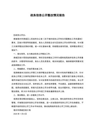 政务信息公开整改情况报告