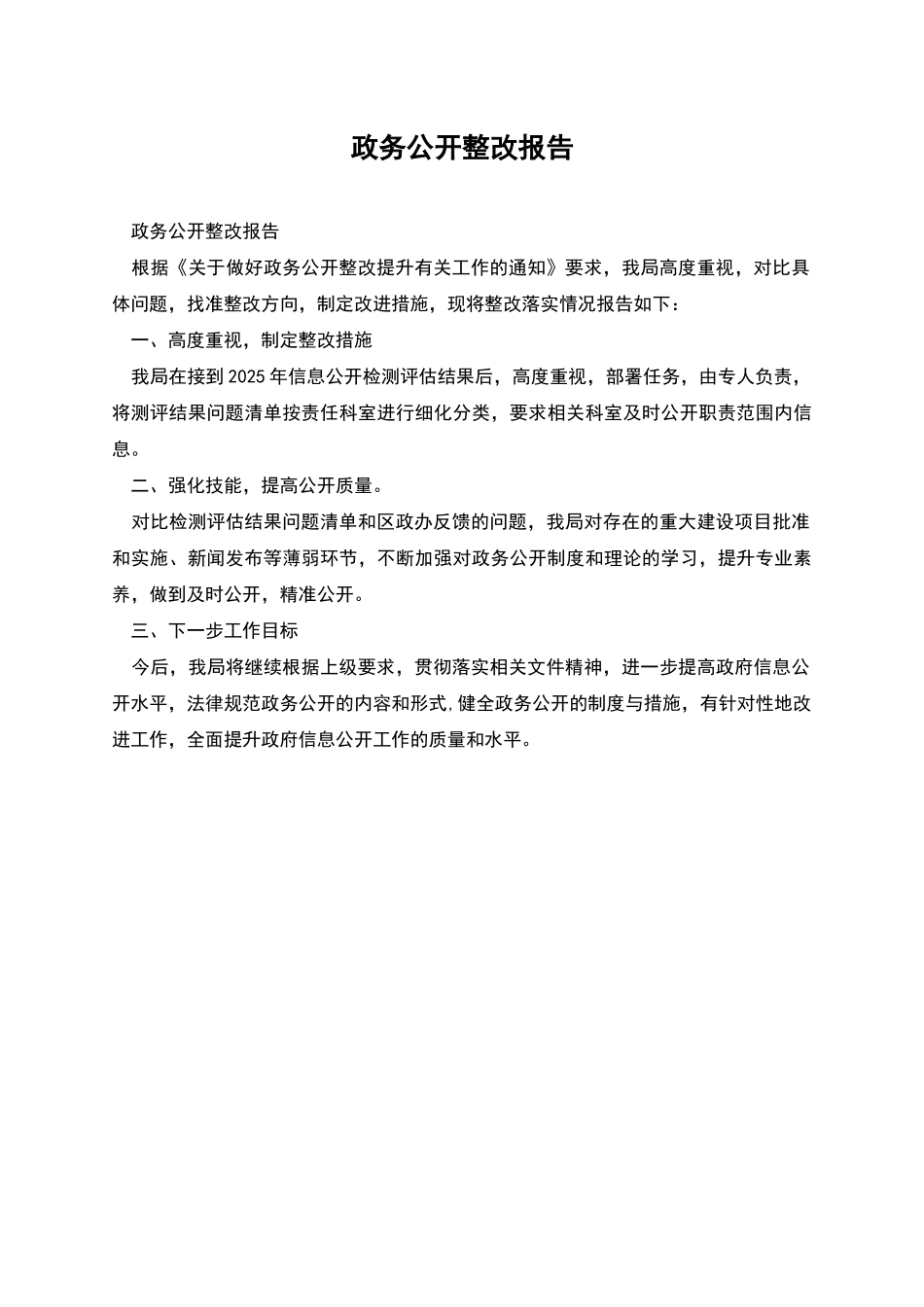 政务公开整改报告_第1页