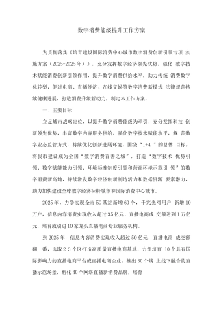 数字消费能级提升工作方案
