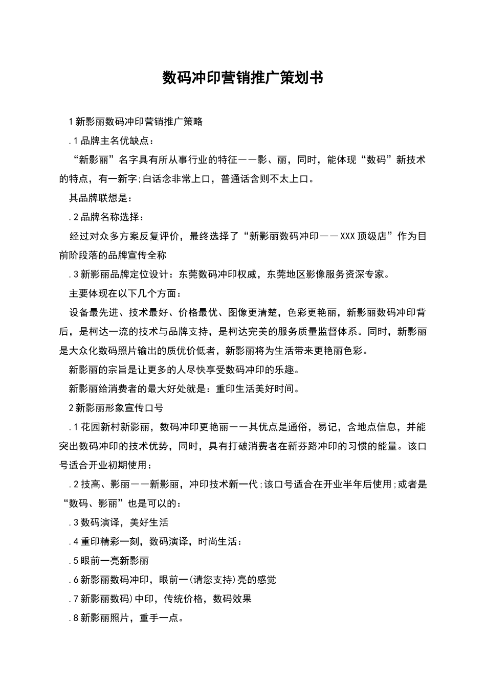 数码冲印营销推广策划书_第1页