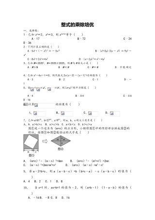 整式的乘除培优