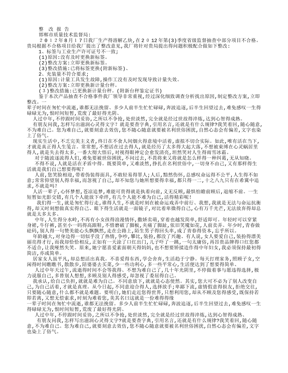整改报告的格式_第3页
