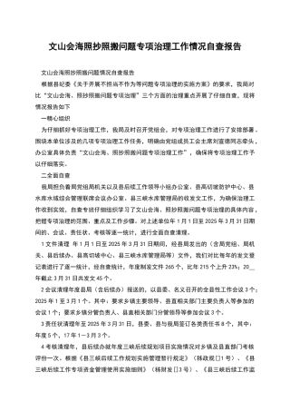 文山会海照抄照搬问题专项治理工作情况自查报告