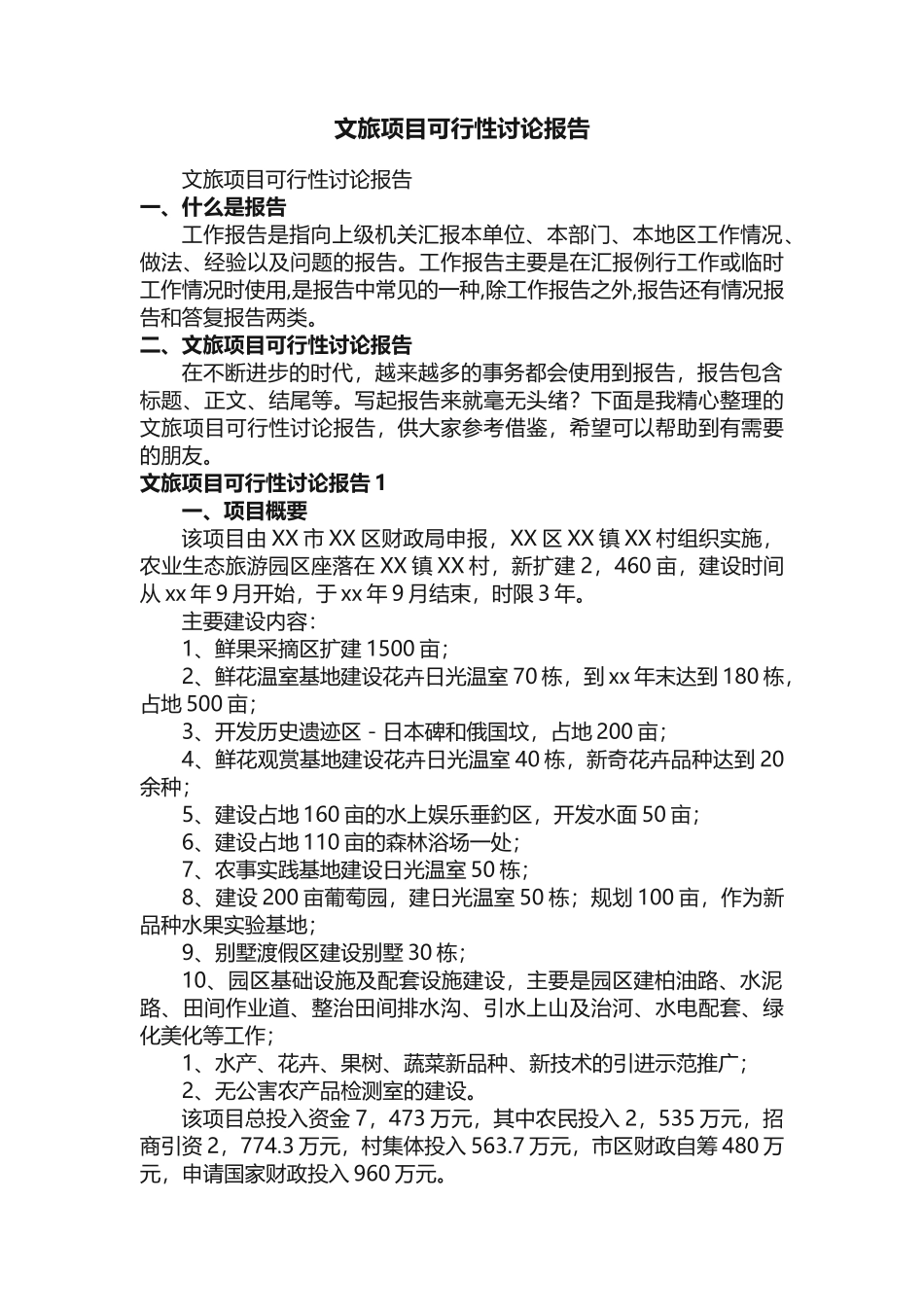 文旅项目可行性研究报告_第1页