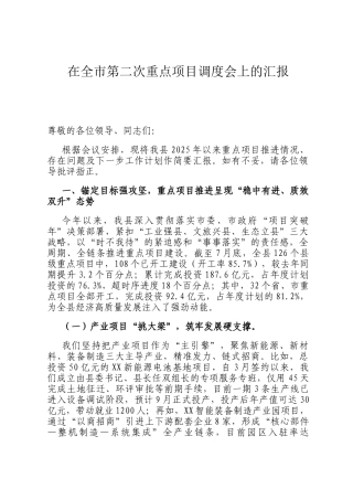 在全市第二次重点项目调度会上的汇报