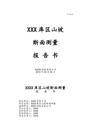 断面测量报告