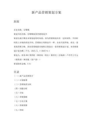 新产品营销策划方案