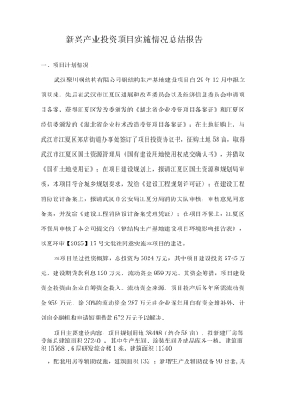 新兴产业投资项目实施情况总结报告