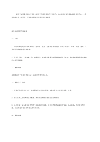 新员工试用期考核制度