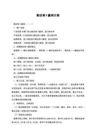 新店商V赢销方案