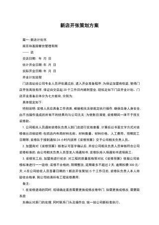 新店开张策划方案