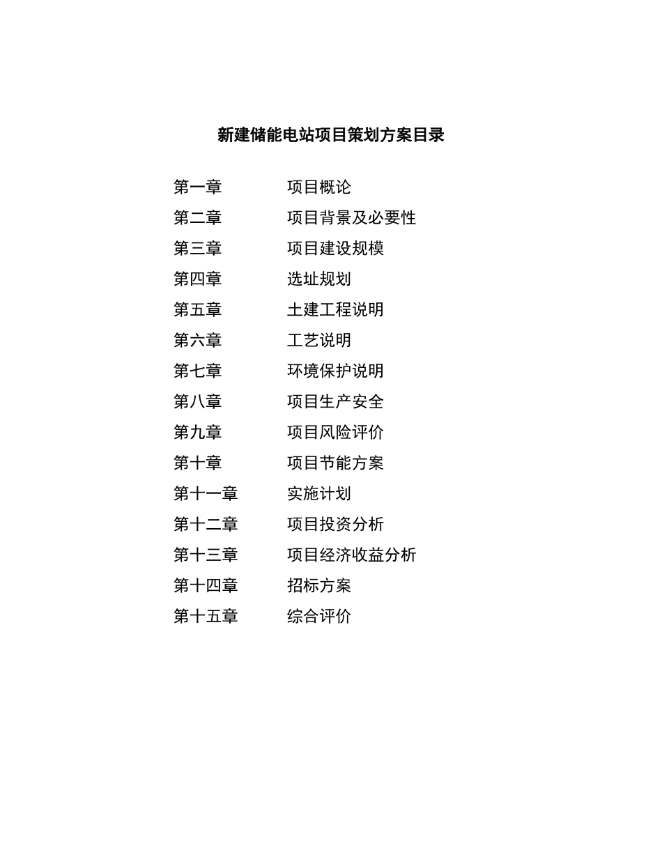 新建储能电站项目策划方案_第3页