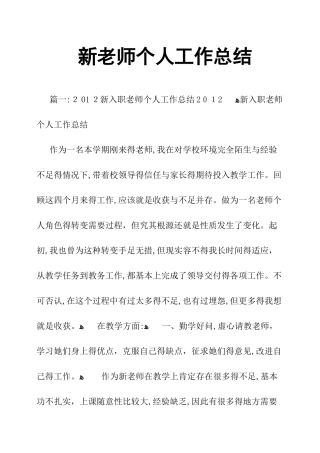 新教师个人工作总结