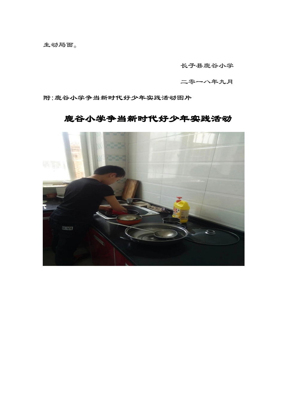 新时代好少年说明书报告材料_第2页