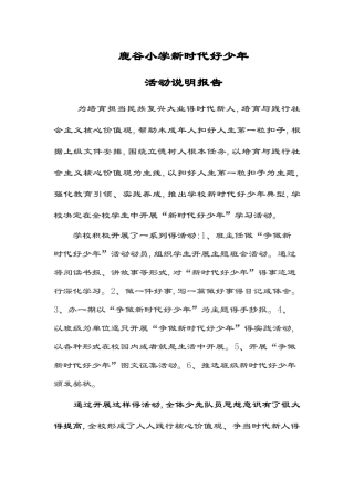 新时代好少年说明书报告材料