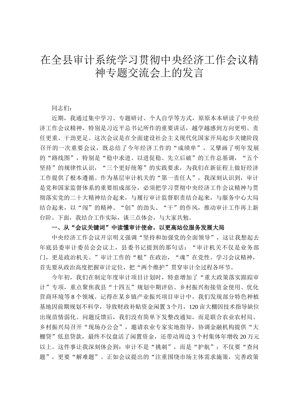 在全县审计系统学习贯彻中央经济工作会议精神专题交流会上的发言_第1页