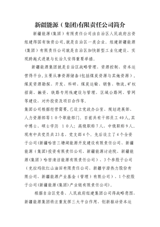 新疆能源集团公司简介