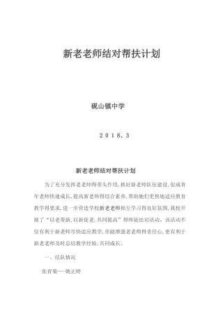 新老教师结对帮扶计划