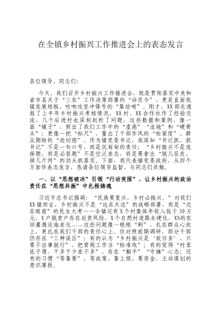 在全镇乡村振兴工作推进会上的表态发言