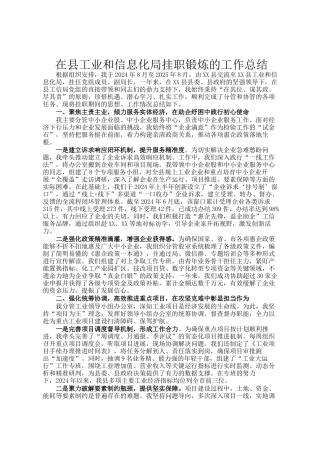 在县工业和信息化局挂职锻炼的工作总结