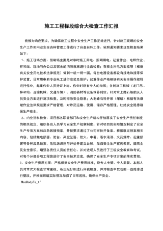 施工工程标段综合大检查工作汇报