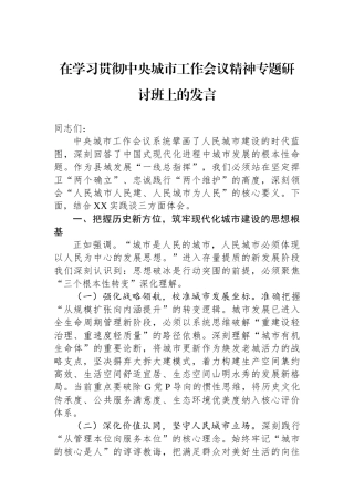 在学习贯彻中央城市工作会议精神专题研讨班上的发言