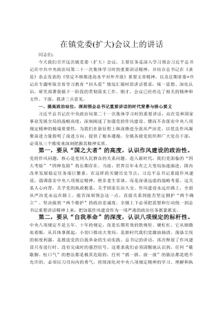 在镇党委(扩大)会议上的讲话