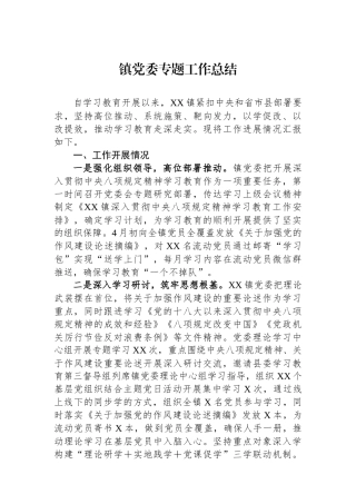 镇党委专题工作总结