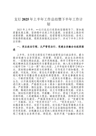 支行2025年上半年工作总结暨下半年工作计划
