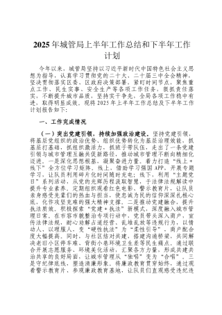 2025年城管局上半年工作总结和下半年工作计划