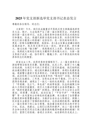 2025年党支部新选举党支部书记表态发言