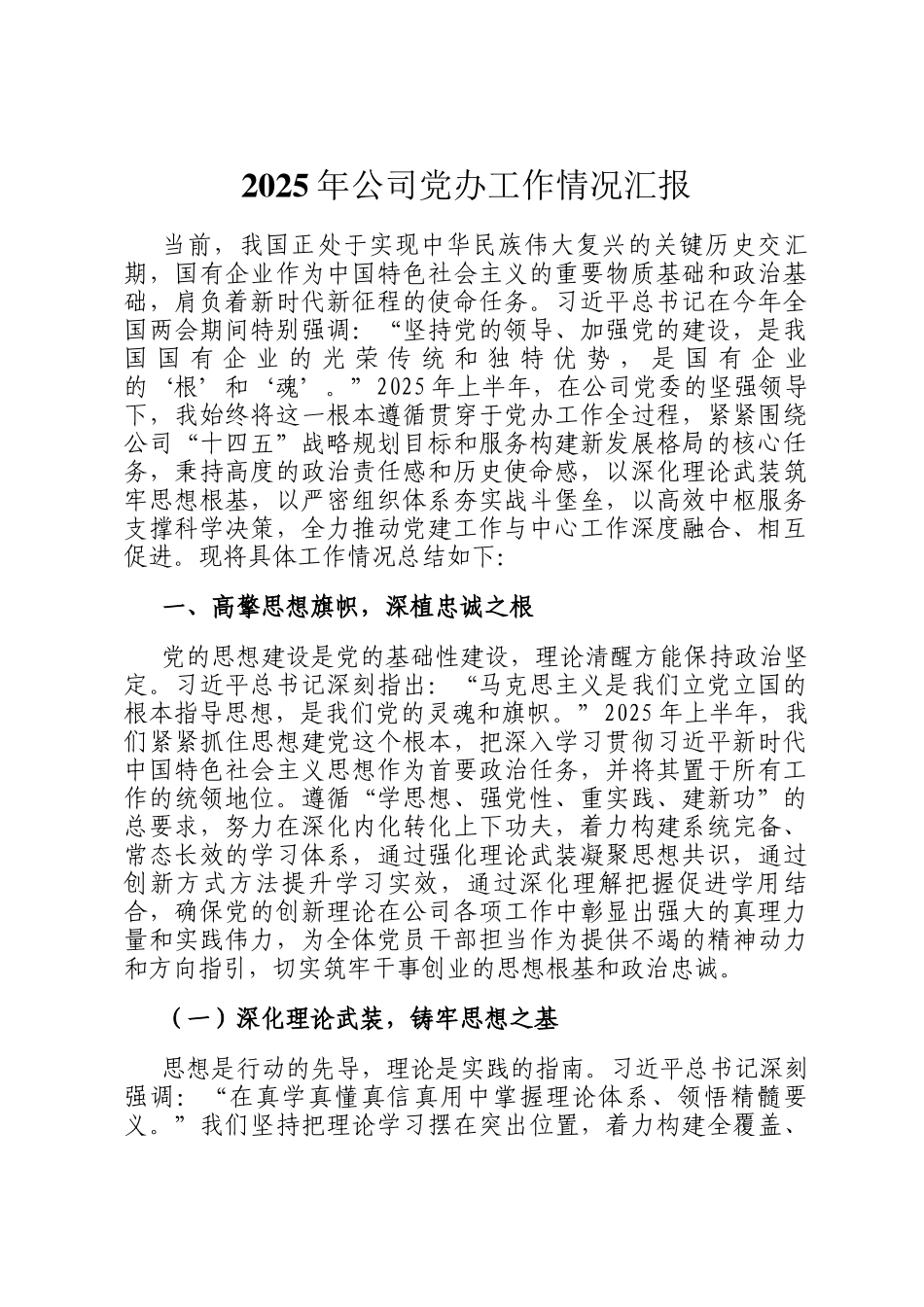 2025年公司党办工作情况汇报_第1页
