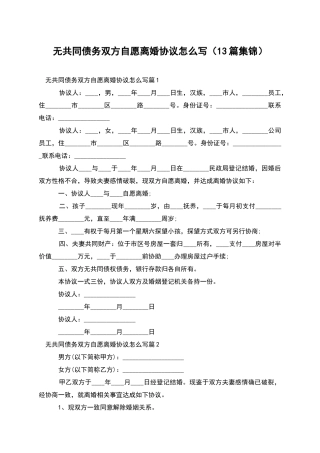 无共同债务双方自愿离婚协议怎么写