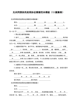 无共同债务民政局协议离婚范本模板