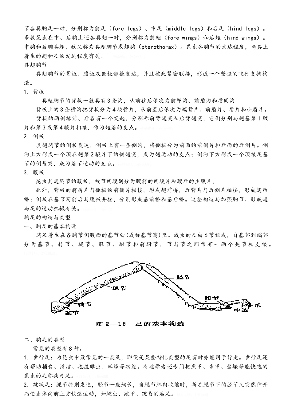 昆虫的外部形态教案_第2页