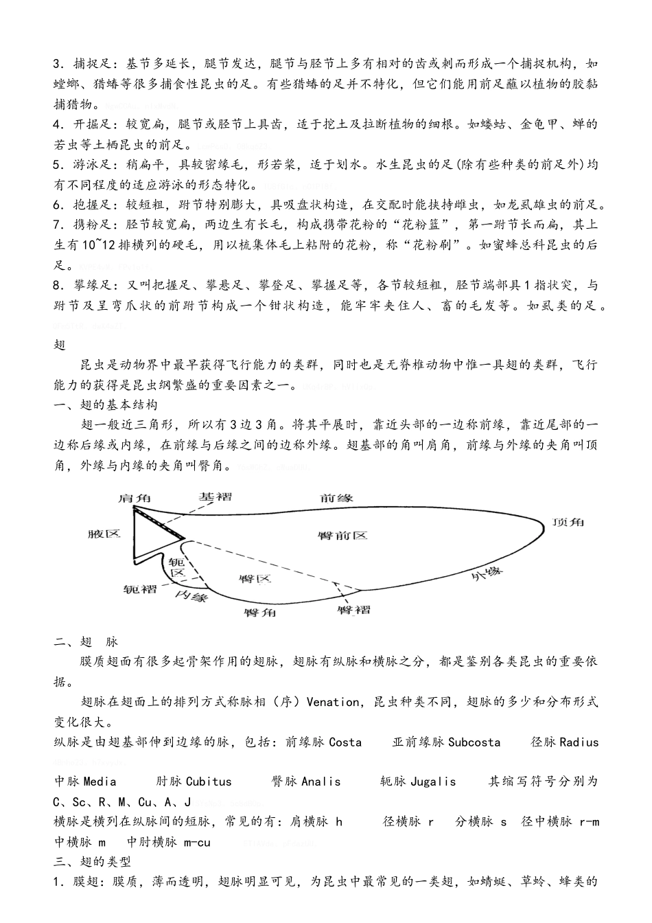 昆虫的外部形态教案_第3页