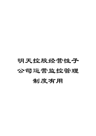 明天控股经营性子公司运营监控管理制度有用模板