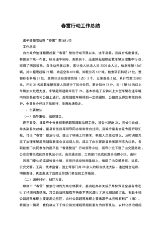 春雷行动工作总结