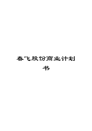 春飞股份商业计划书模板