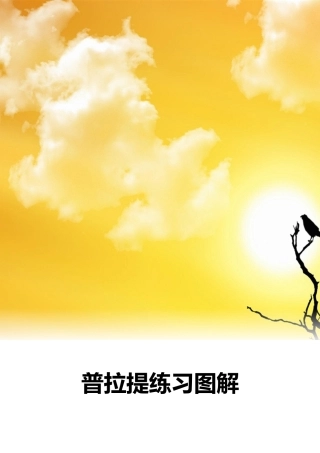 普拉提练习图解