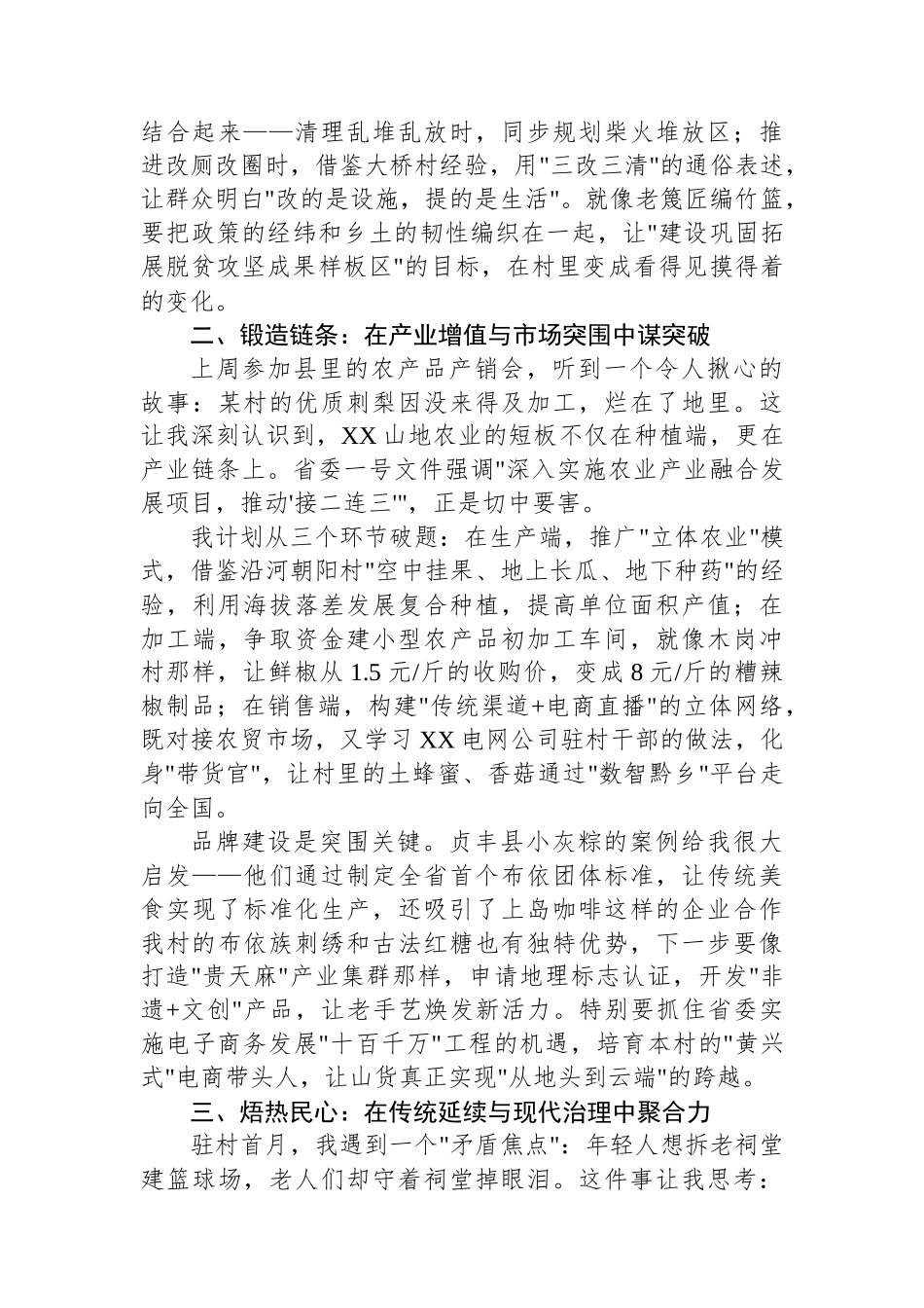 2025年新任驻村第一书记座谈会发言稿_第2页