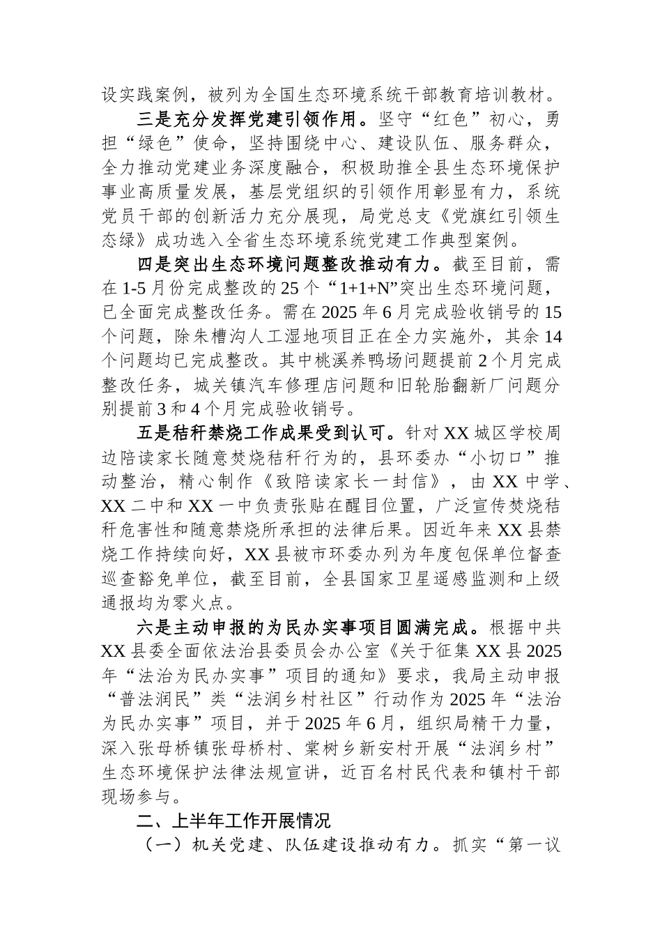 XX市XX县生态环境分局2025年上半年重点工作落实情况_第2页