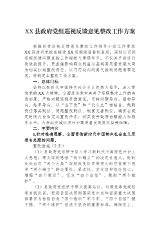 XX县政府党组巡视反馈意见整改工作方案