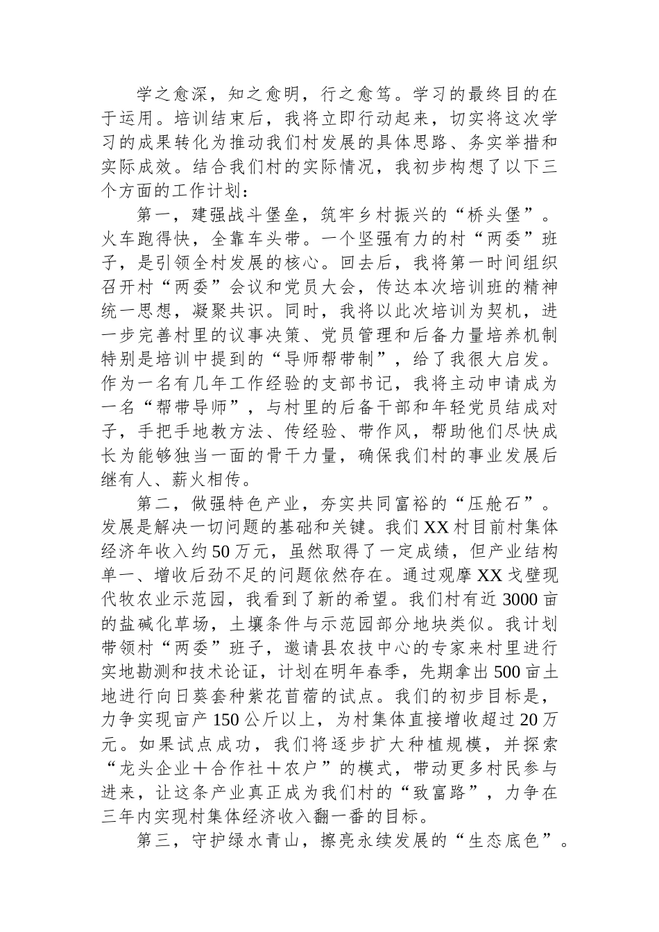 村支部书记参加2025年村党组织书记能力素质提升培训班后的心得体会发言_第3页