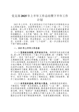 党支部2025年上半年工作总结暨下半年工作计划