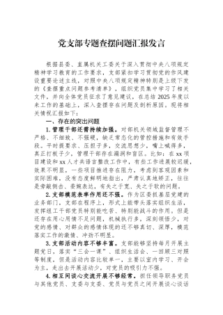 党支部专题查摆问题汇报发言