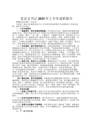 党总支书记2025年上半年述职报告