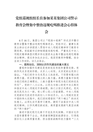 党组巡视组组长在参加某某集团公司警示教育会暨集中整治违规吃喝推进会心得体会