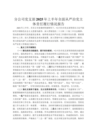 分公司党支部2025年上半年全面从严治党主体责任履行情况报告